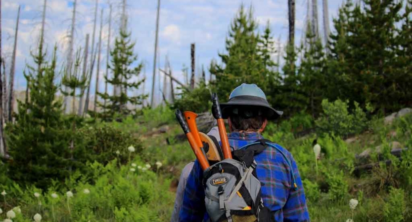 A person carries gardening tools in a backpack as they hike through a wooded area